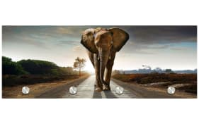 Glasgarderobe Tobi mit Elefantmotiv, 30 x 80 cm