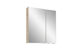 Spiegelschrank A-Plan, Polarpinie-Nachbildung, 59 x 70 cm