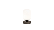 LED-Akku-Tischleuchte Genk in schwarz/weiß, 20 cm