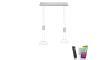 LED-Pendelleuchte CCT Q-Etienne, stahlfarbig, 2-flammig, 65 cm