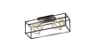 LED-Deckenleuchte CCT Gisi, schwarz/goldfarbig, 2-flammig, 58,5 cm