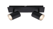 LED-Deckenleuchte Banyo IP44 in schwarz, 2-flammig
