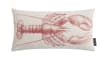 Kissenhülle Lobster, grau/rot, 50 x 30 cm
