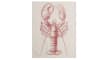 Geschirrtuch Lobster, grau/rot, 50 x 70 cm