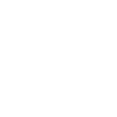 Selbsteinzug mit Dämpfung, Schwebetürenschrank Denver, graphit, Eiche bianco 300 x 236 cm