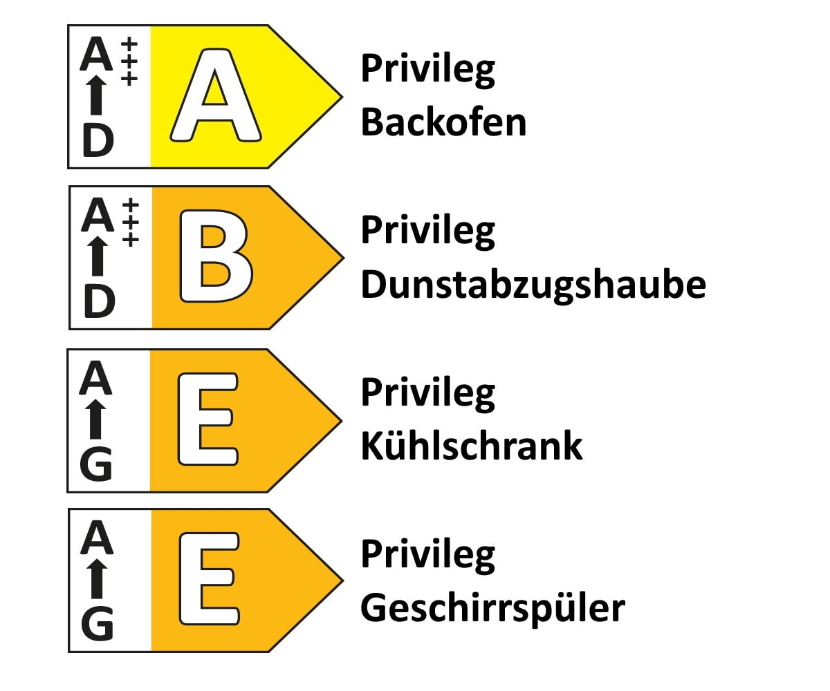 Einbauküche Stadum/Forst, Eiche Havanna Nachbildung, inkl. Privileg Geschirrspüler