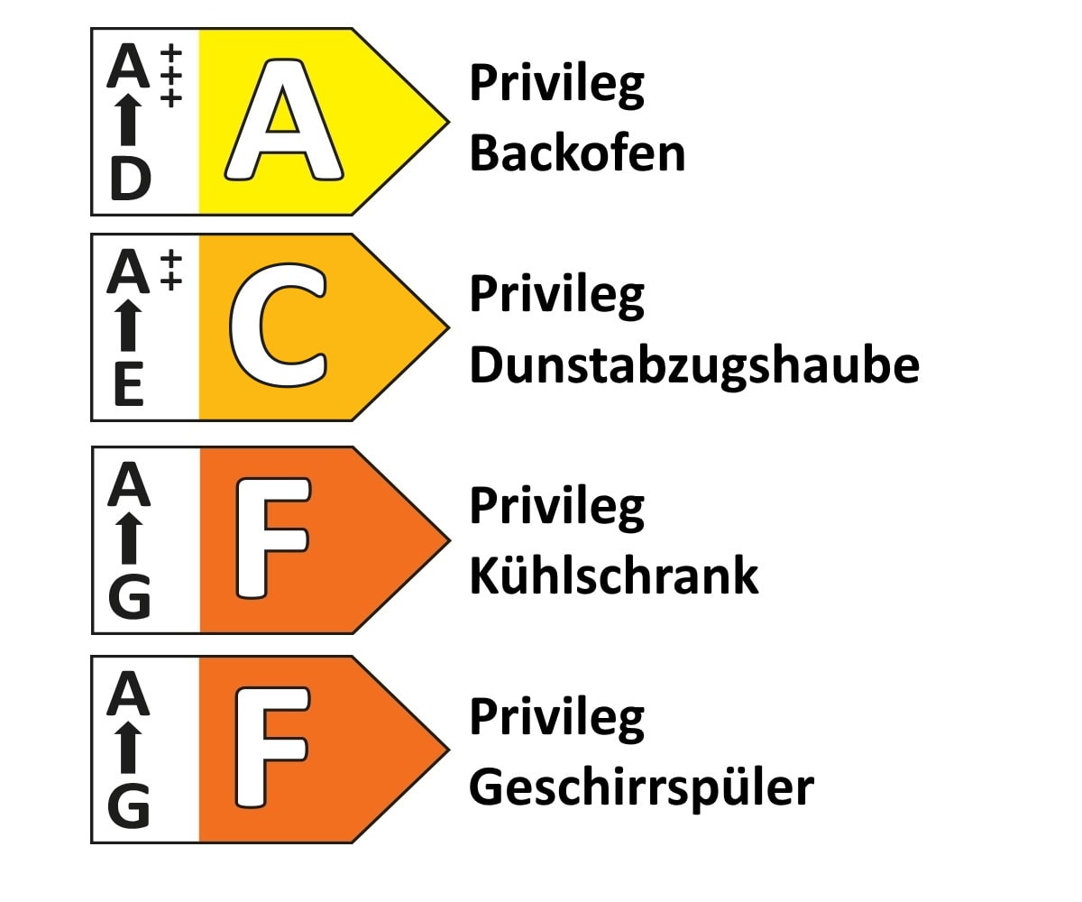 Einbauküche Riva, Beton Terragrau Nachbildung, inkl. Privileg Elektrogeräte