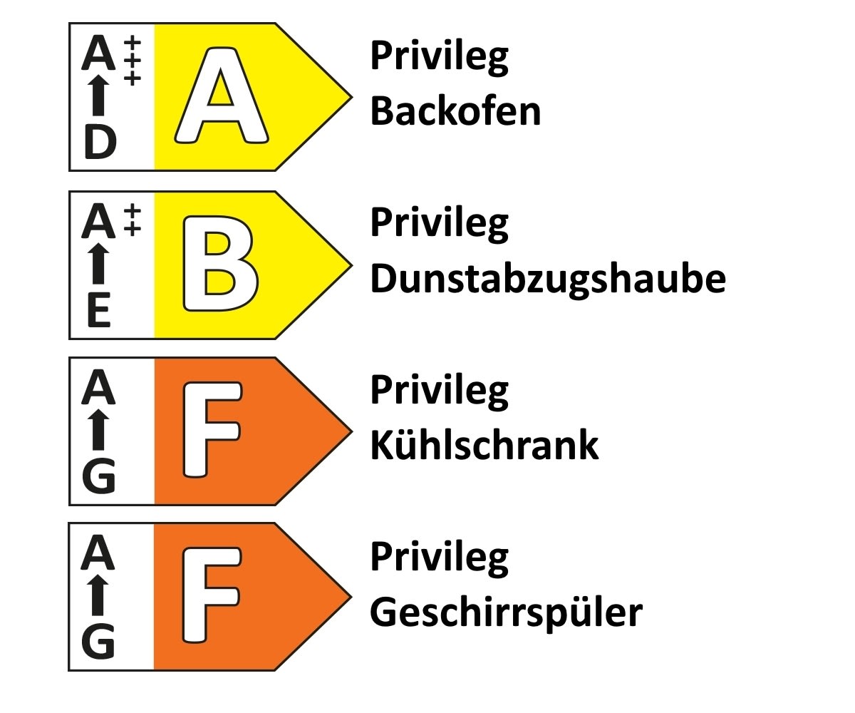 Einbauküche Torna , schwarz, inkl. Privileg Elektrogeräte 