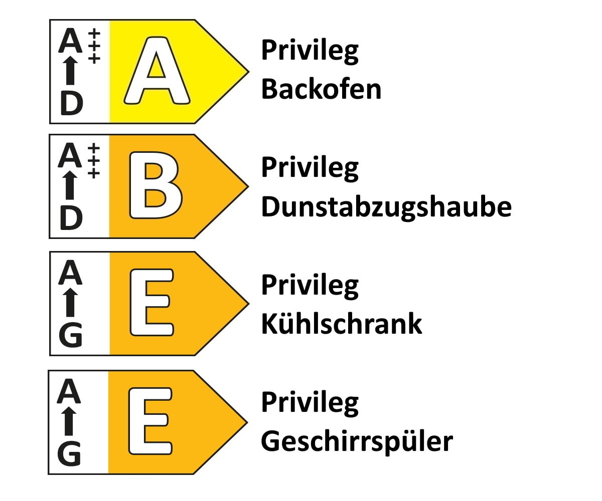 Einbauküche Wida, hellgrau, inkl. Privileg Elektrogeräte