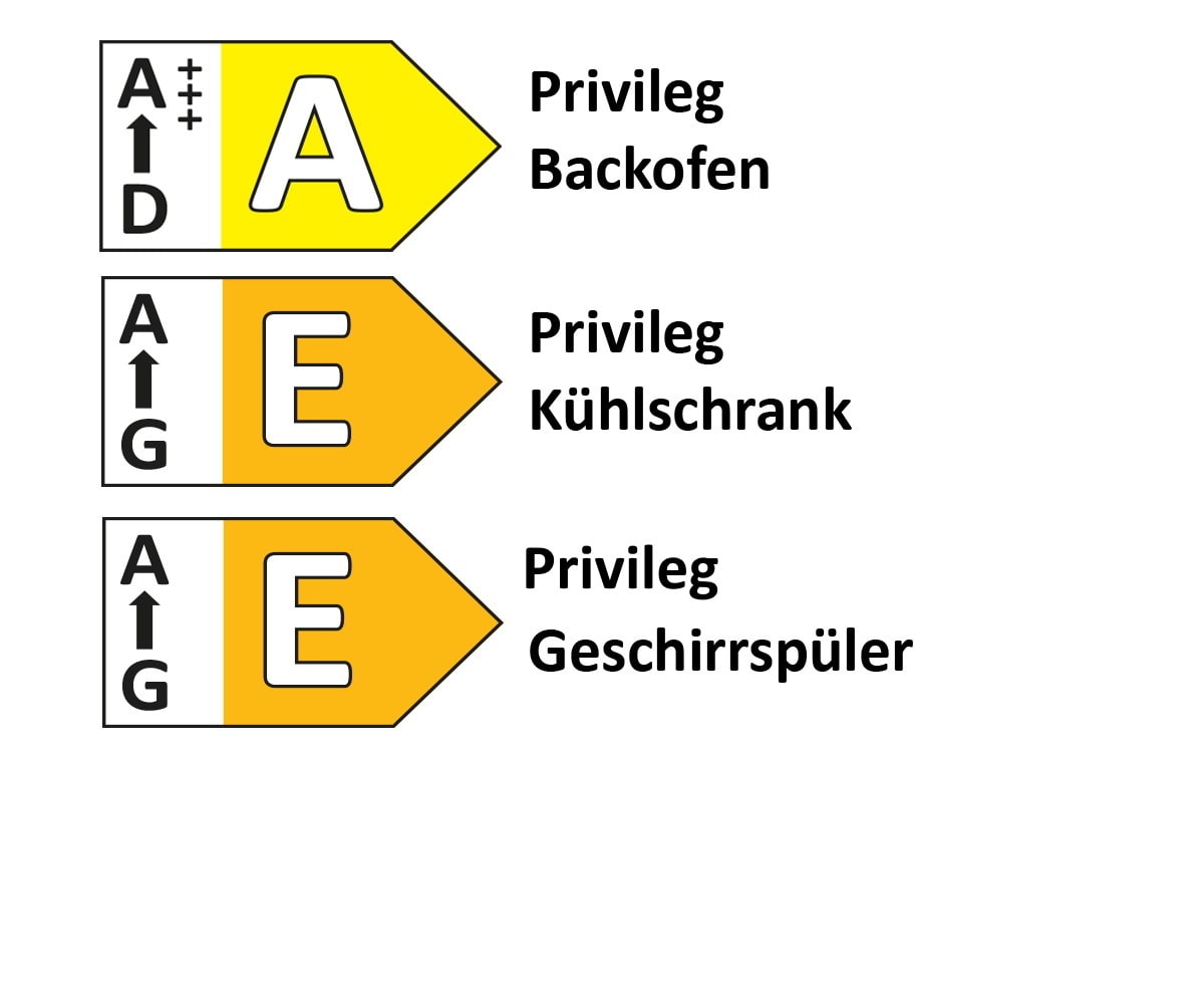 Einbauküche Rosian, Beton grau Nachbildung, inkl. Privileg Elektrogeräte