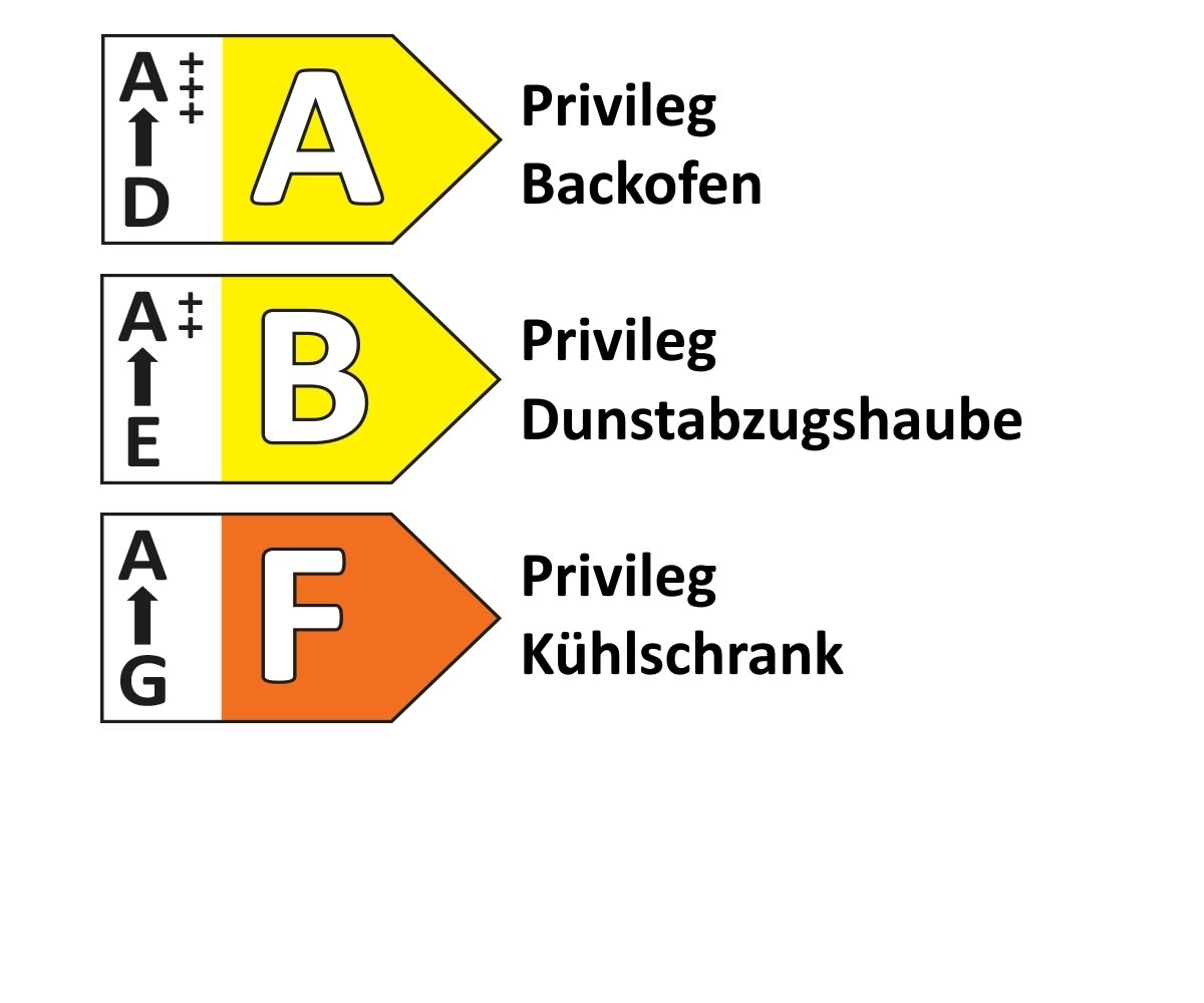 Einbaukueche IP 1200, Beton Nachbildung, inkl. Privileg Elektrogeräte