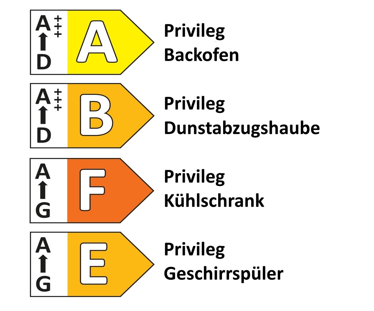 Einbauküche IP 2200, Oregon Eiche Nachbildung, inkl. Privileg Elektrogeräte