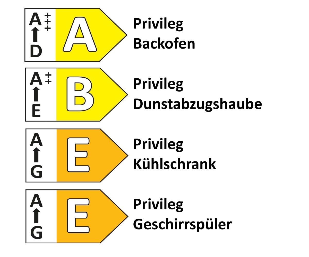 Einbauküche IP 1200, Vintage Eiche Nachbildung, inkl. Privileg Elektrogeräte