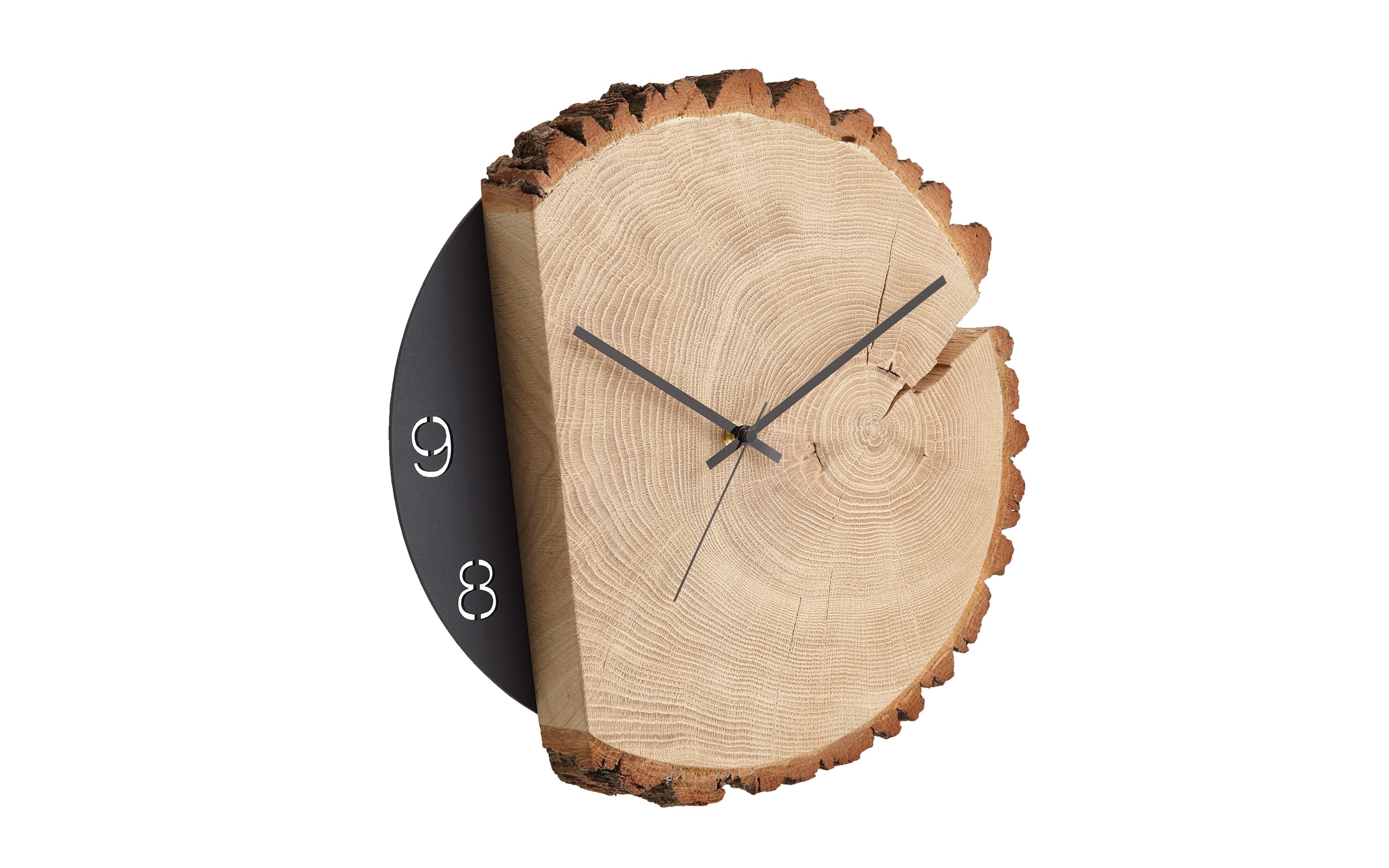 Wanduhr Naturstücke, Riffeiche