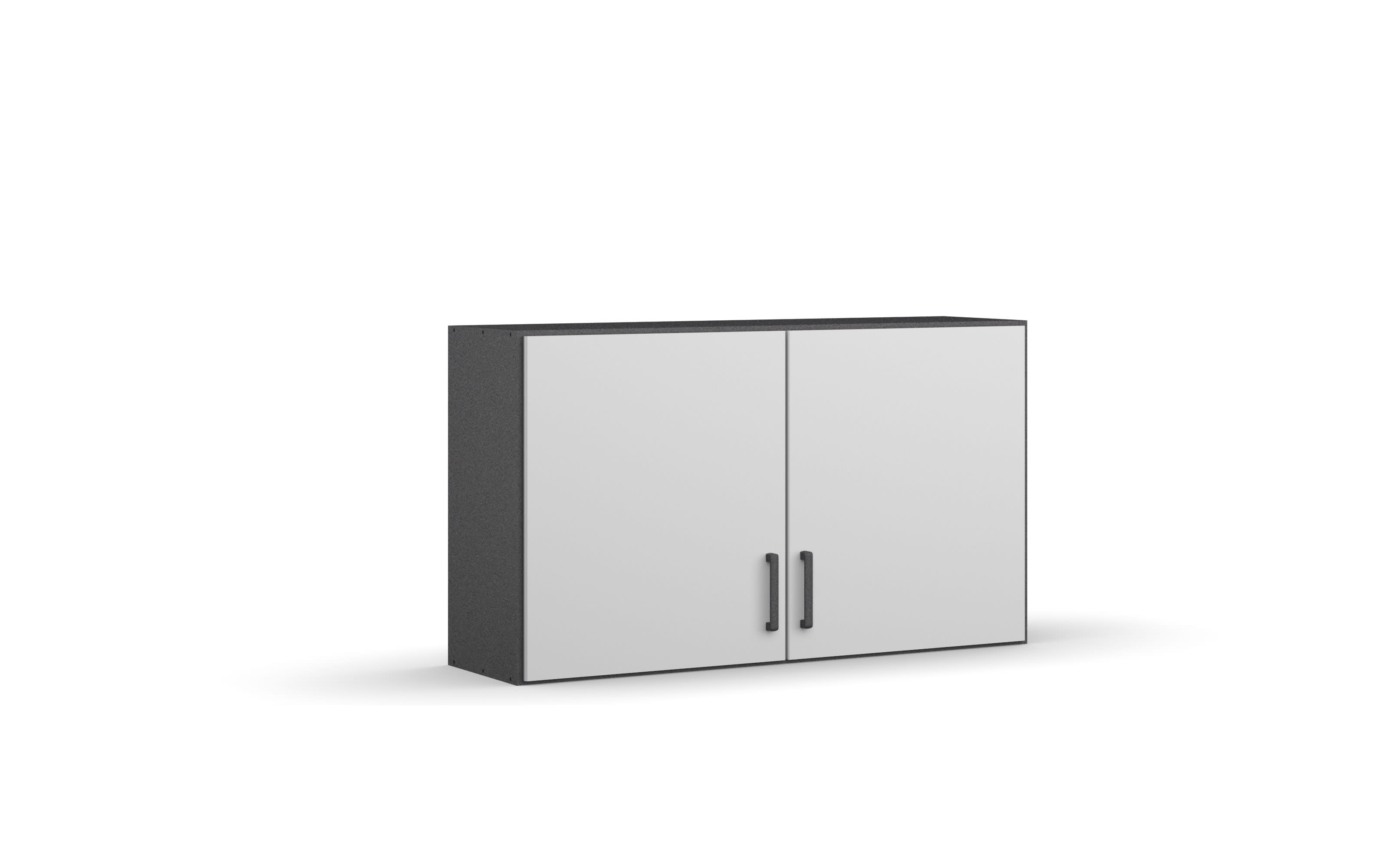 Hängeschrank Allrounder, grau metallic/alpinweiß, 2-türig