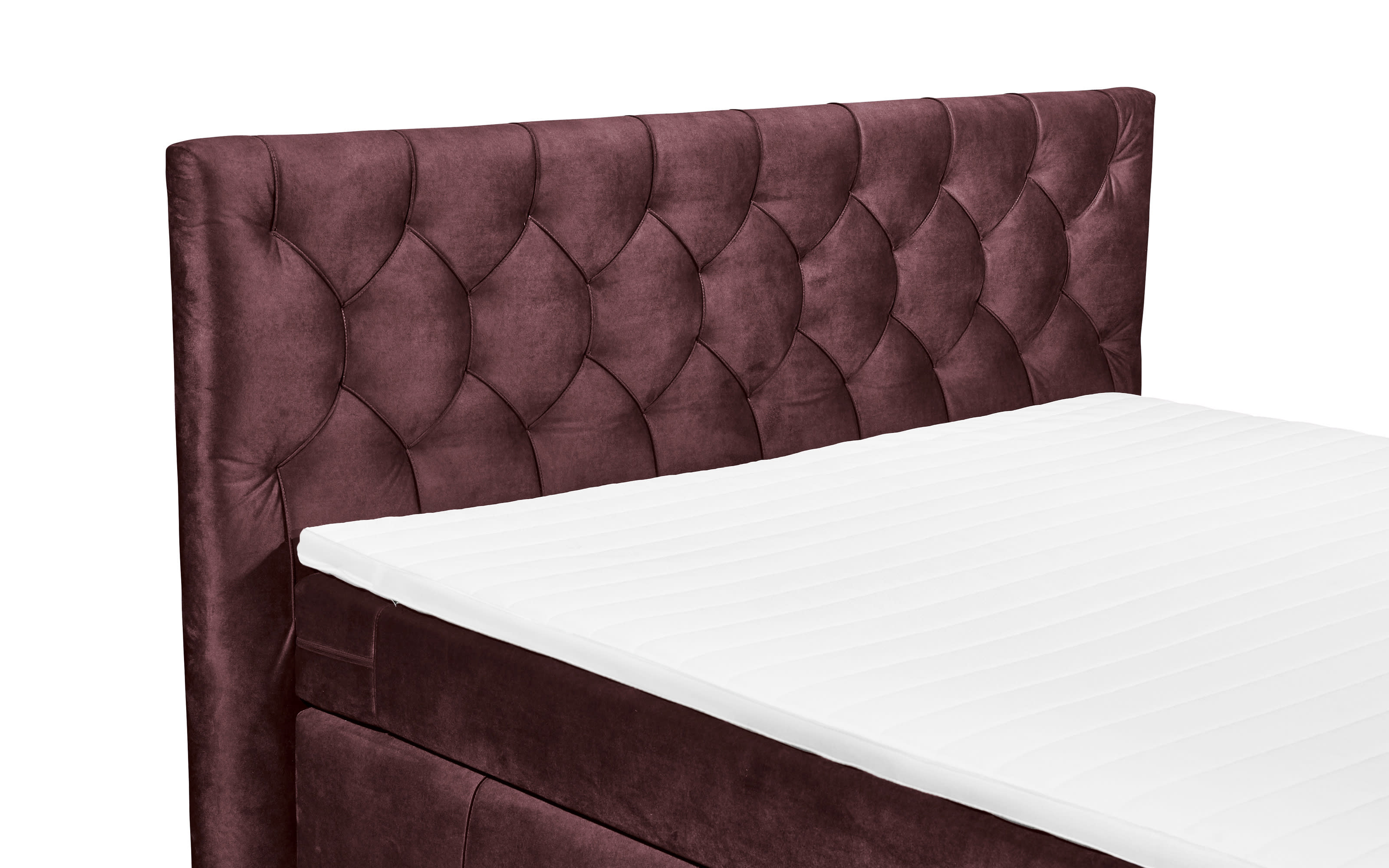 Boxspringbett Pembroke 8, aubergine, 180 × 200 cm