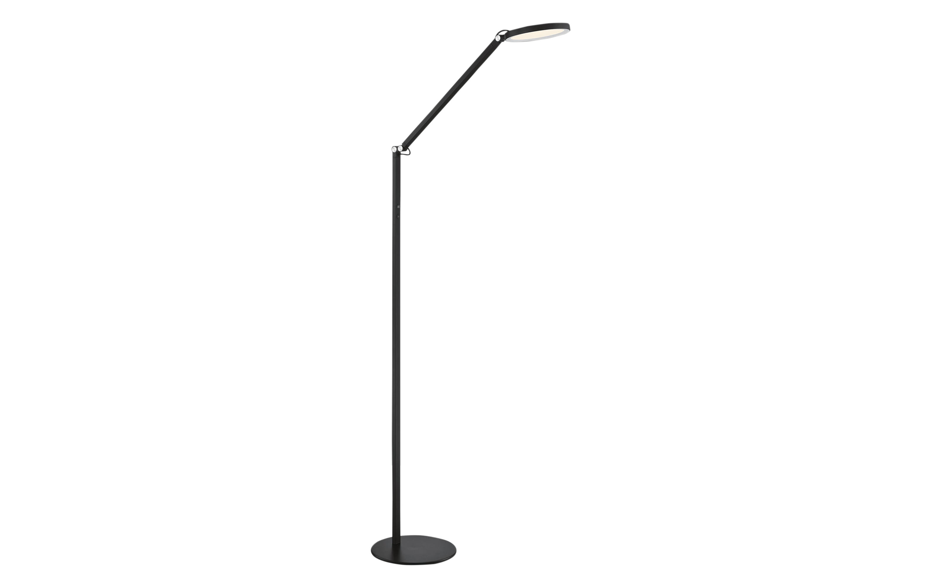 LED-Standleuchte Regina, schwarz, 160 cm