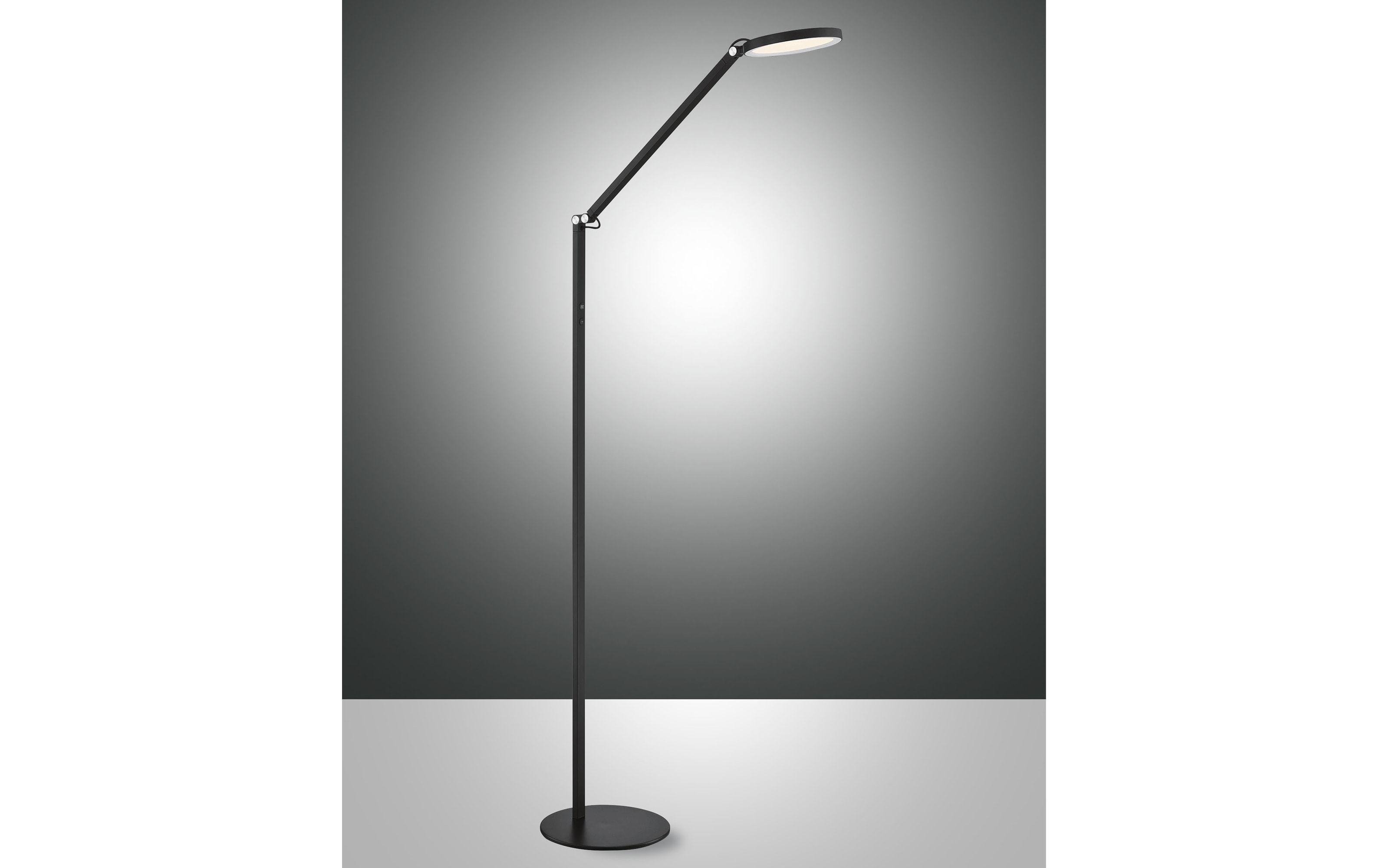 LED-Standleuchte Regina, schwarz, 160 cm