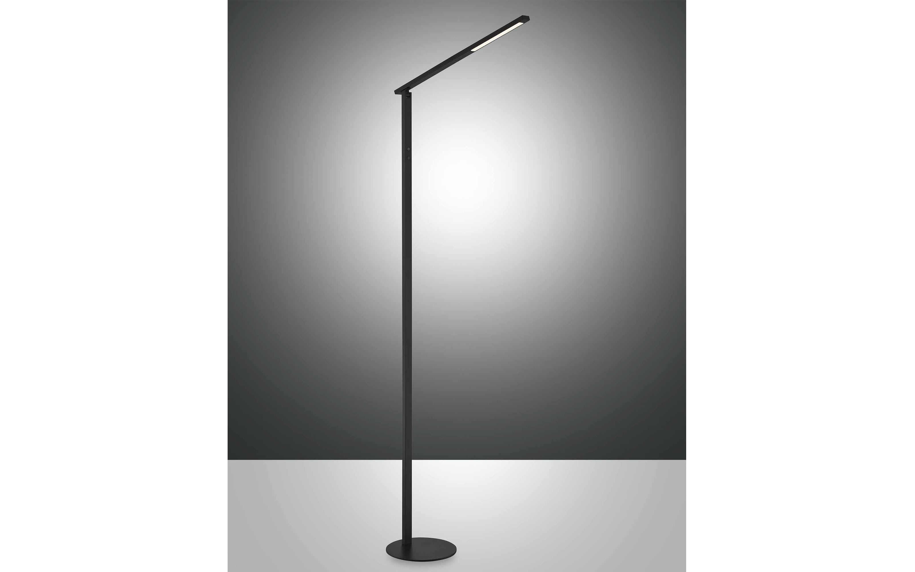 LED-Standleuchte CCT Ideal, schwarz, 175 cm