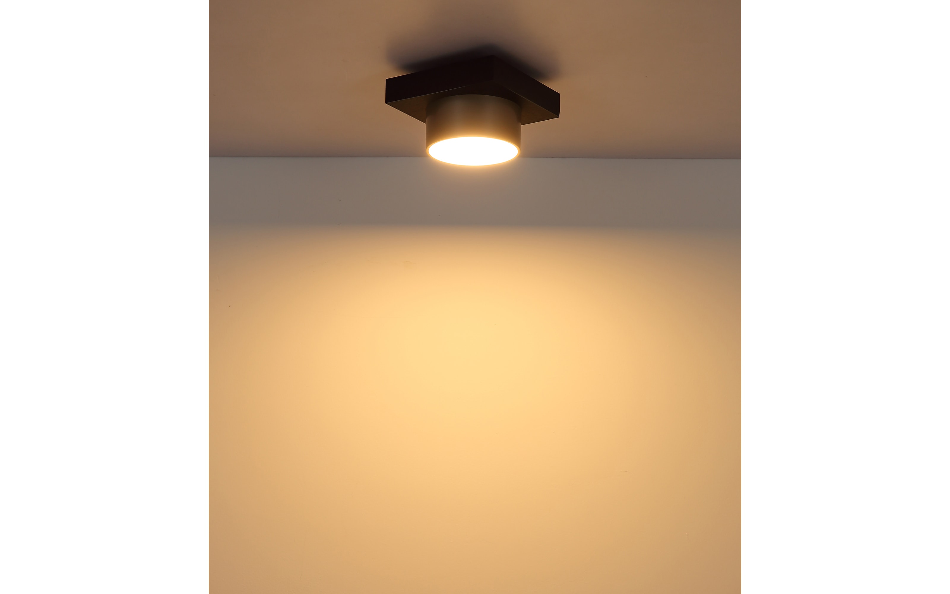 LED-Deckenleuchte Raymond, schwarz/goldfarbig