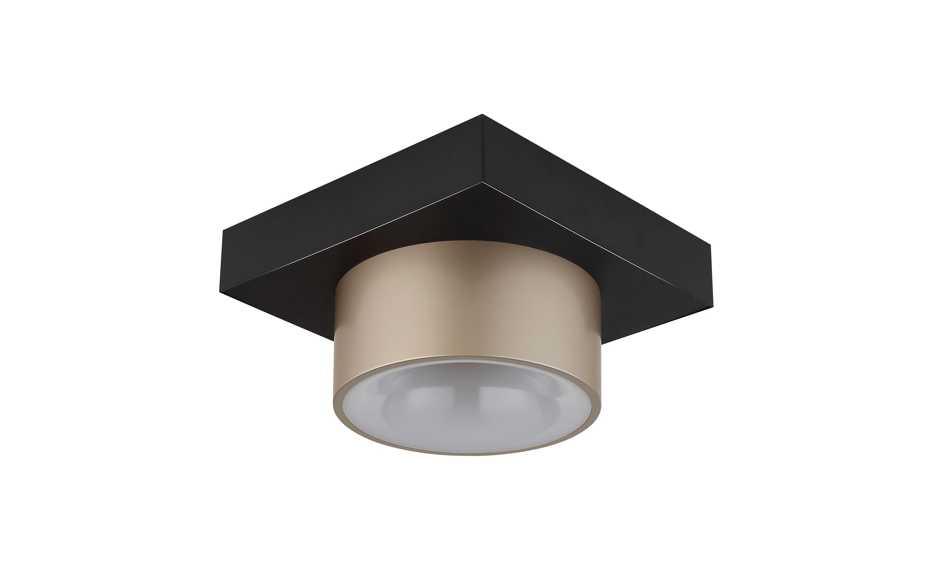 LED-Deckenleuchte Raymond, schwarz/goldfarbig