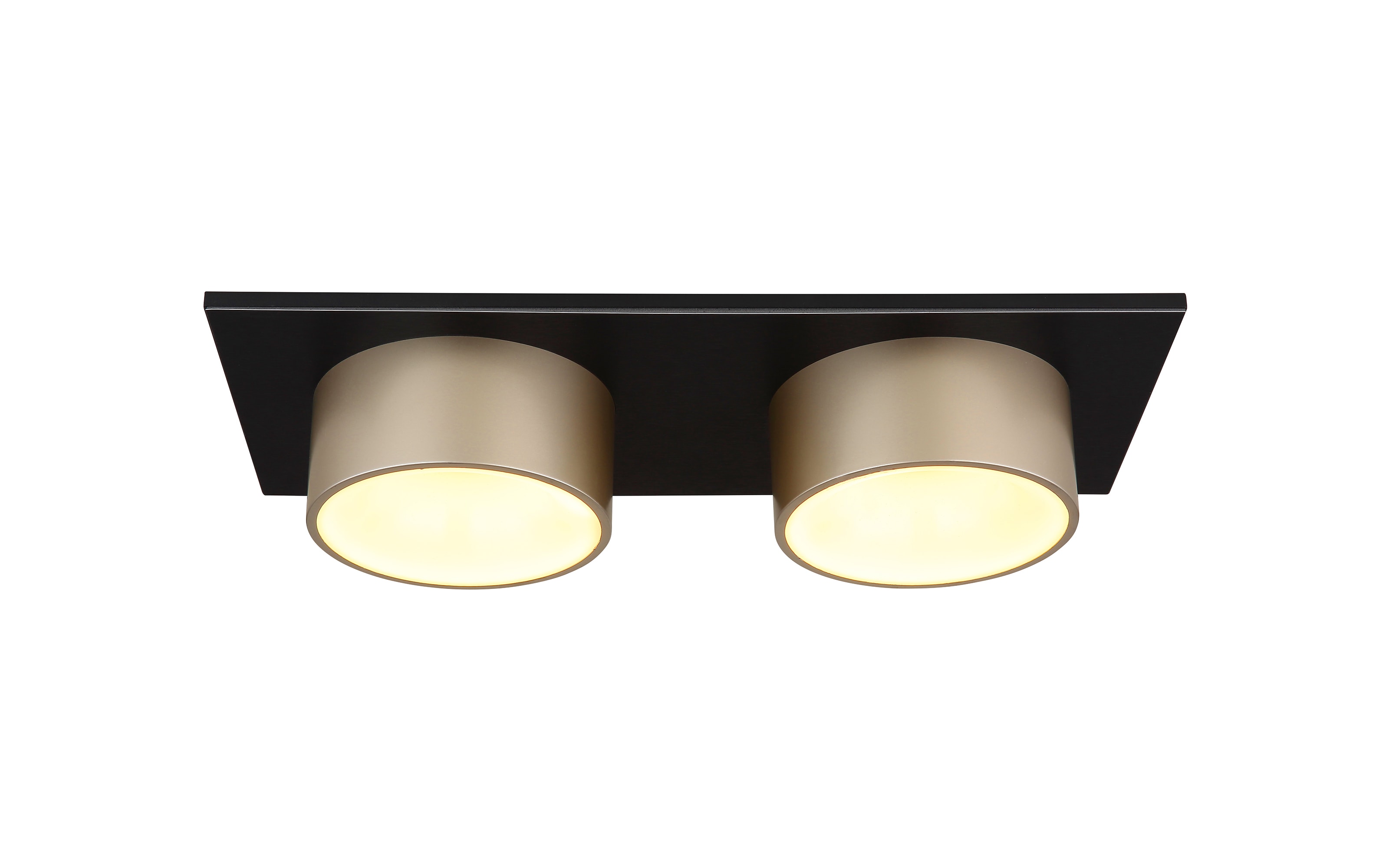 LED-Deckenleuchte Raymond, schwarz/goldfarbig