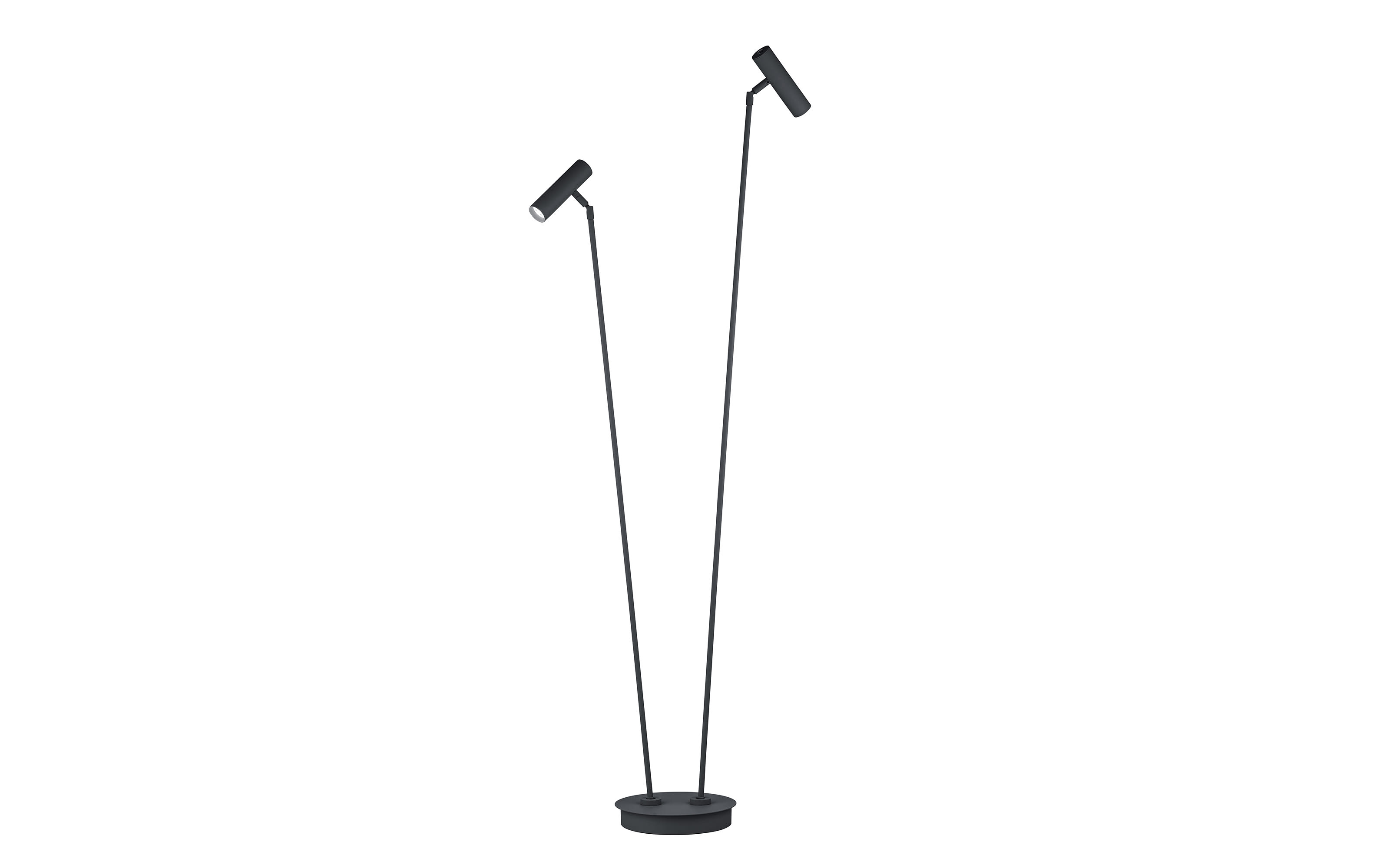LED-Stehleuchte Tom Pro, schwarz, inkl. CCT Funktion