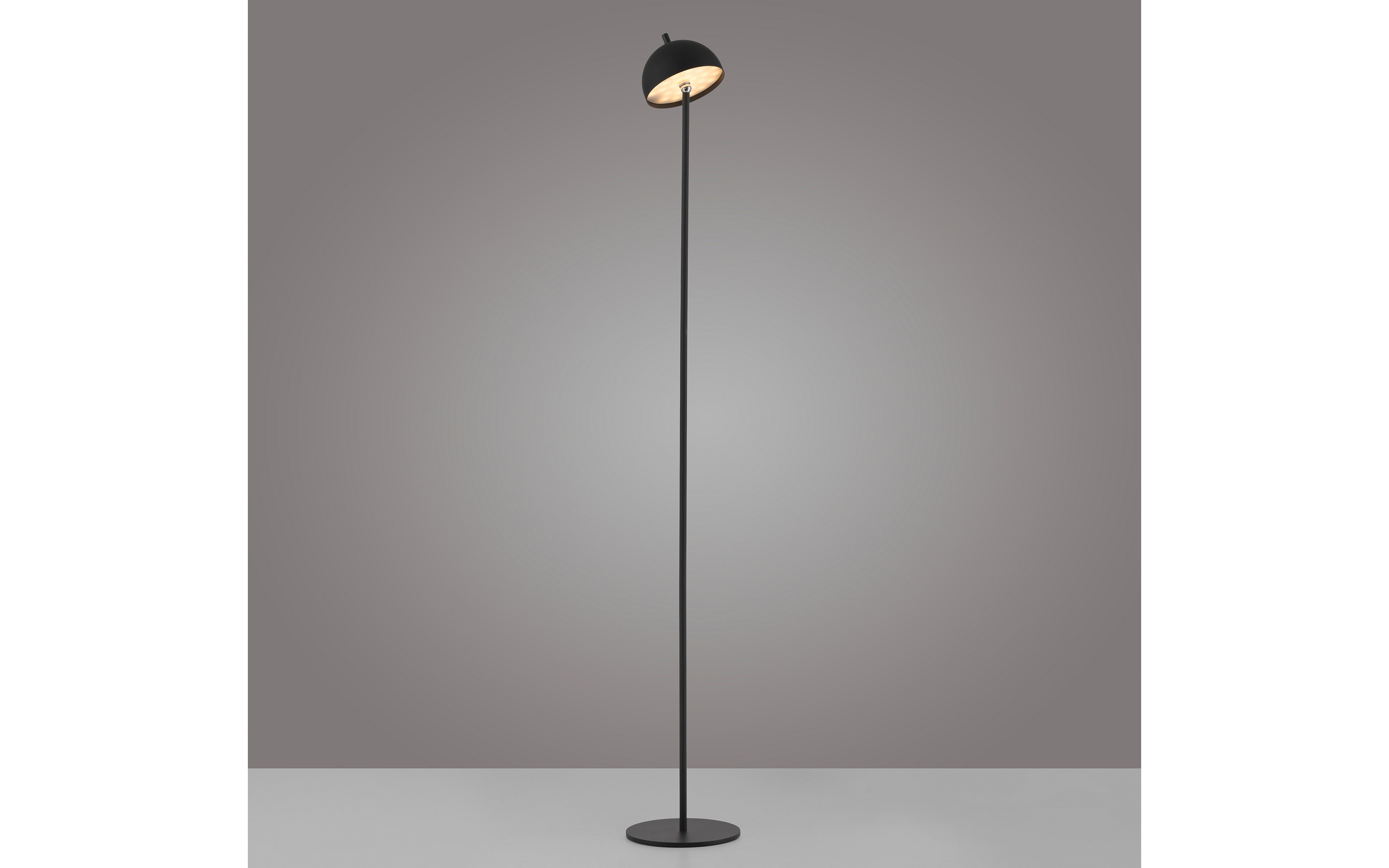 AKKU-Stehleuchte Bellis, schwarz