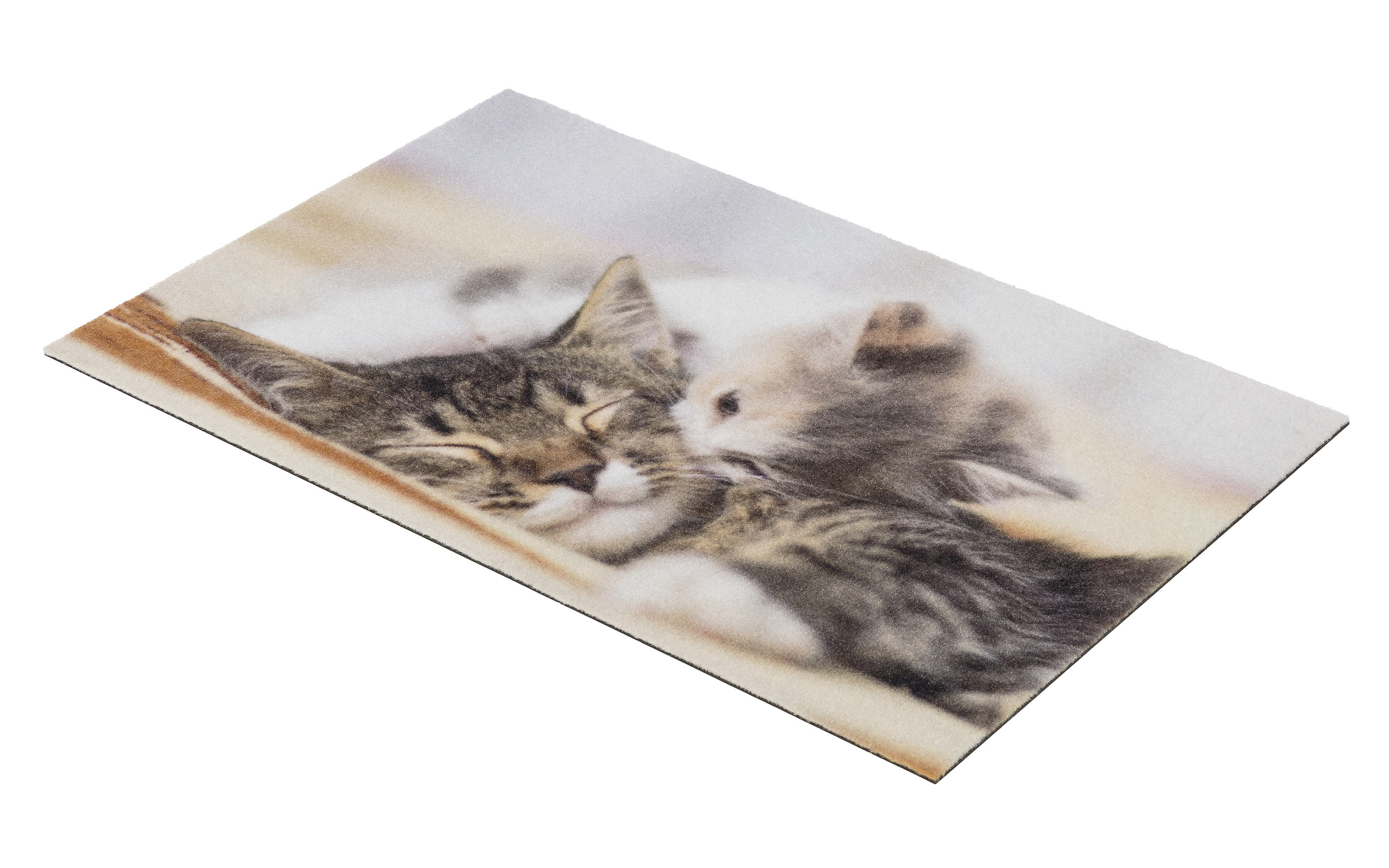 Türmatte Kitten, 40 x 60 cm