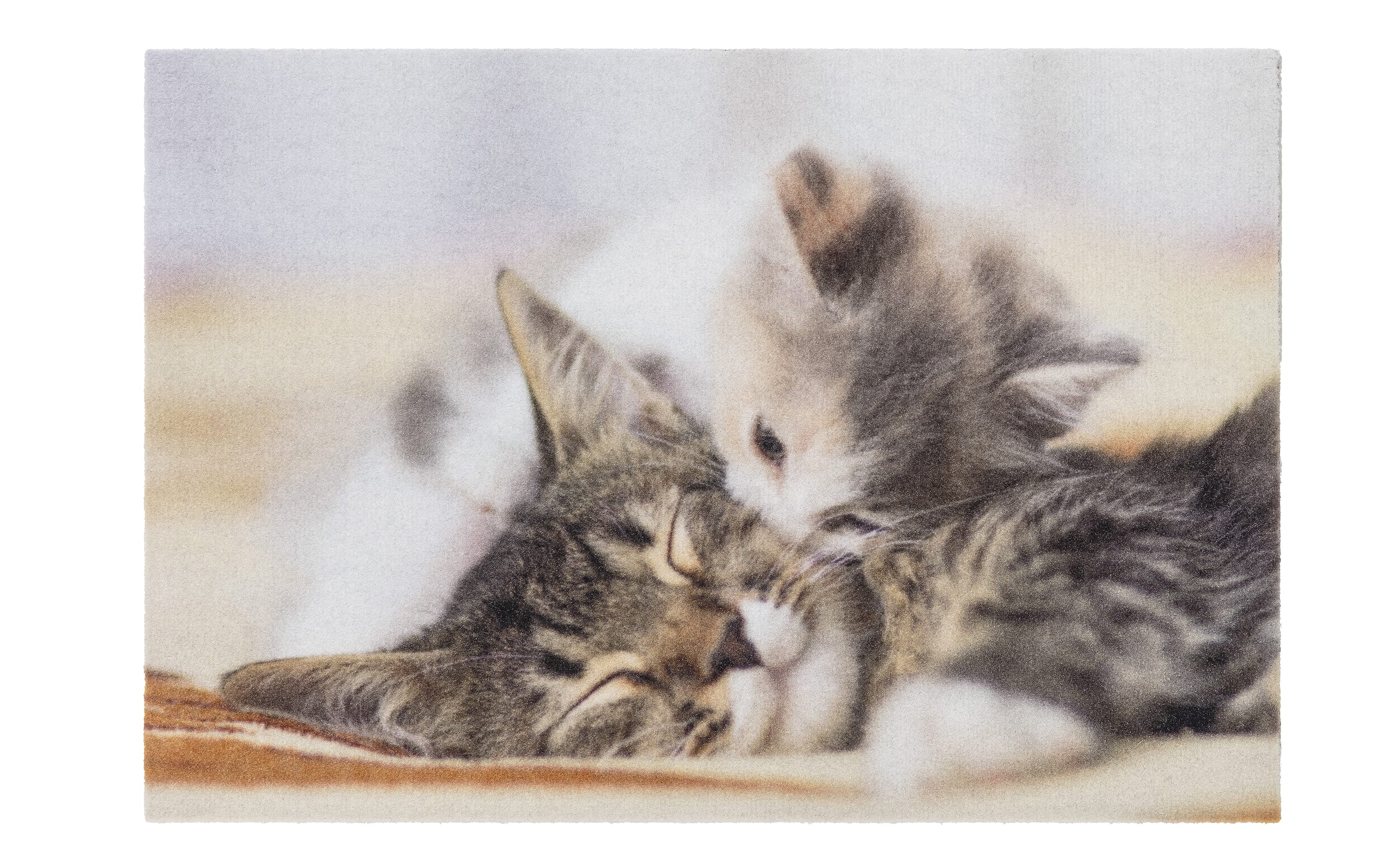 Türmatte Kitten, 40 x 60 cm