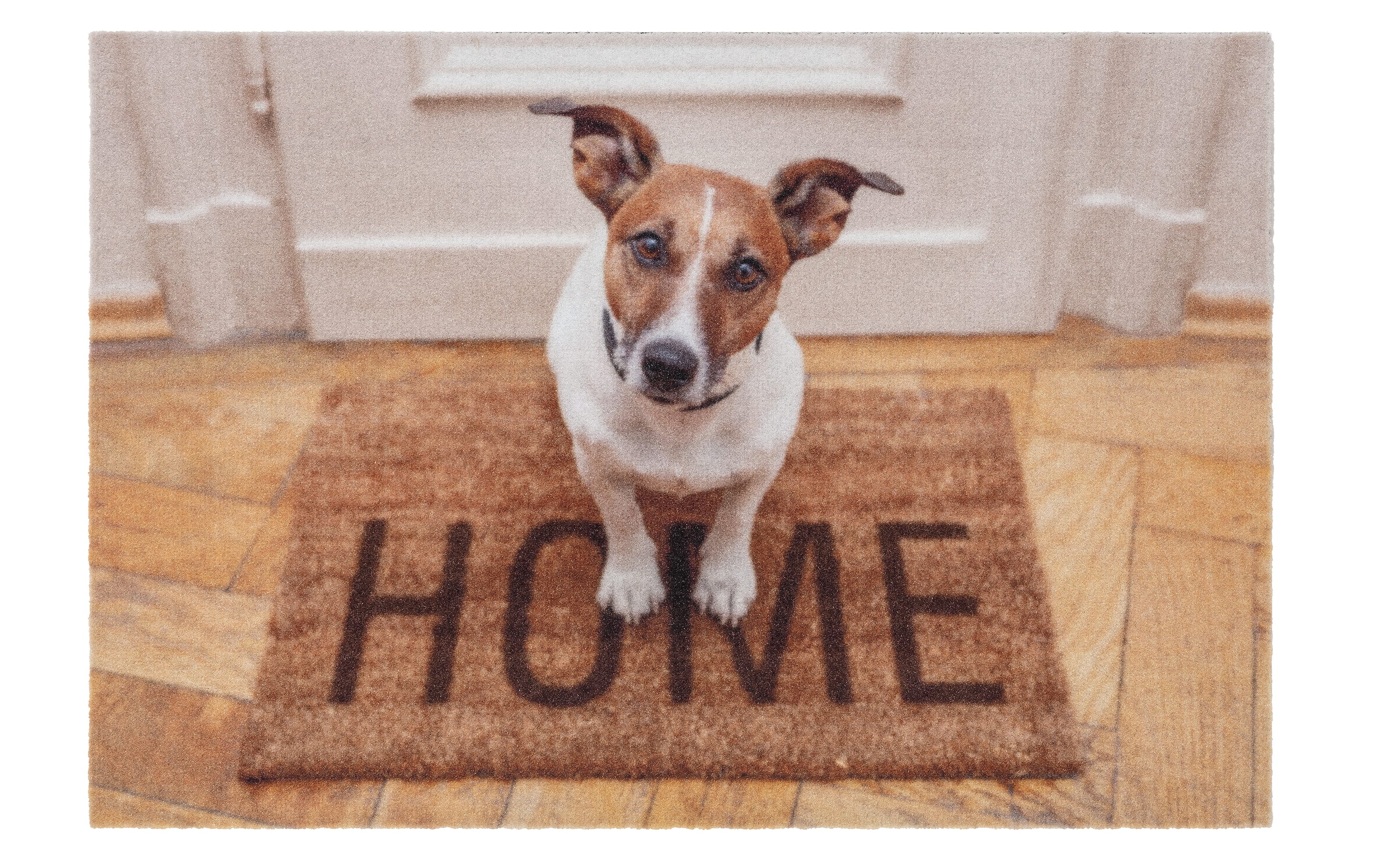 Türmatte mit Hunde-Motive, 40 x 60 cm