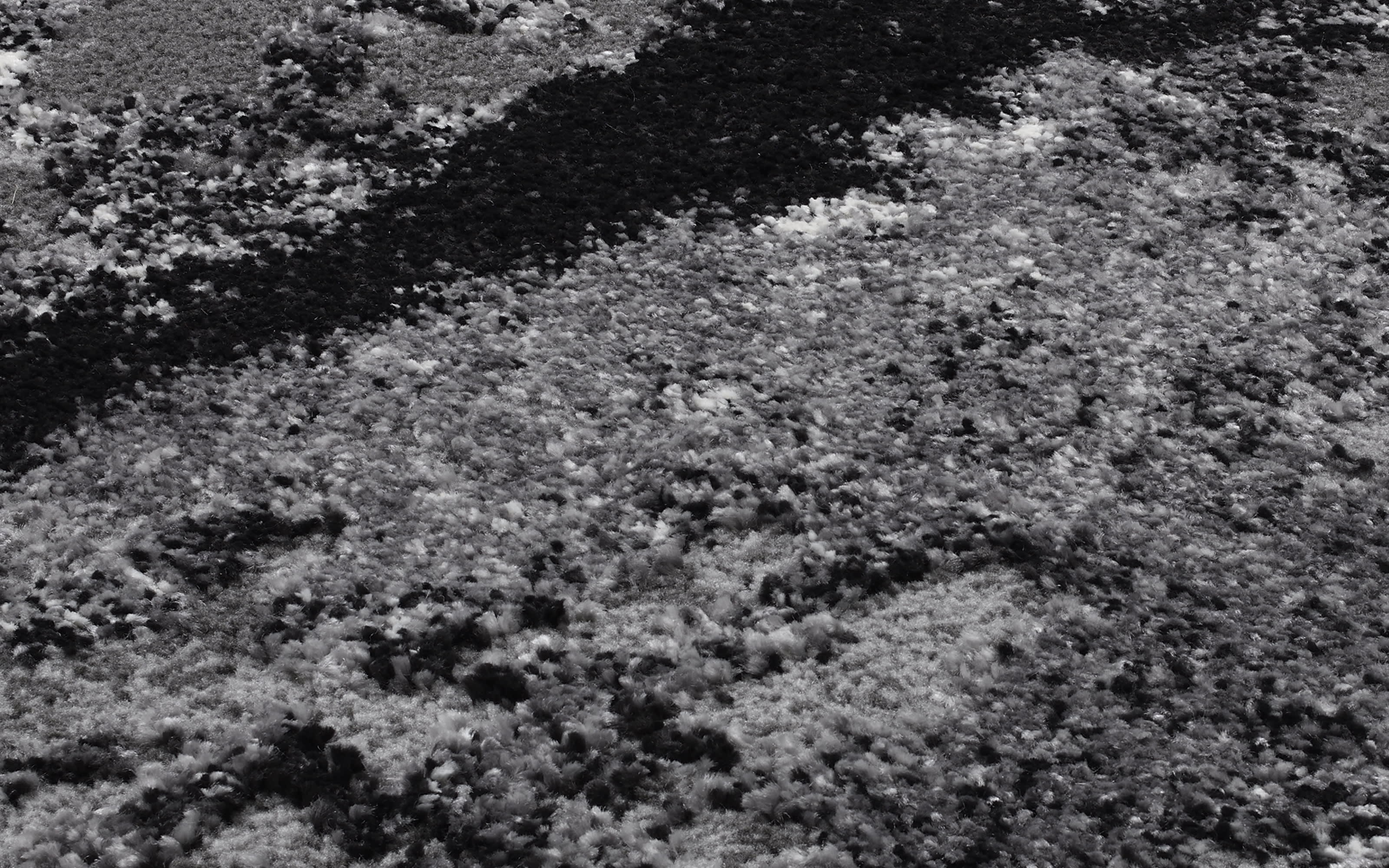 Teppich Starlight Echo, grau/schwarz, 200 x 290 cm
