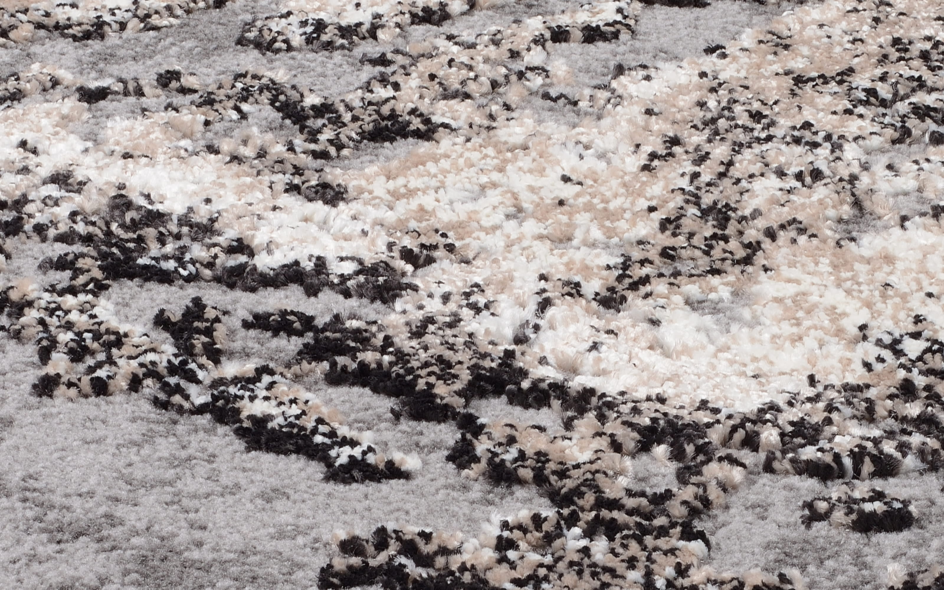Teppich Starlight Echo, hellgrau/beige, 200 x 290 cm