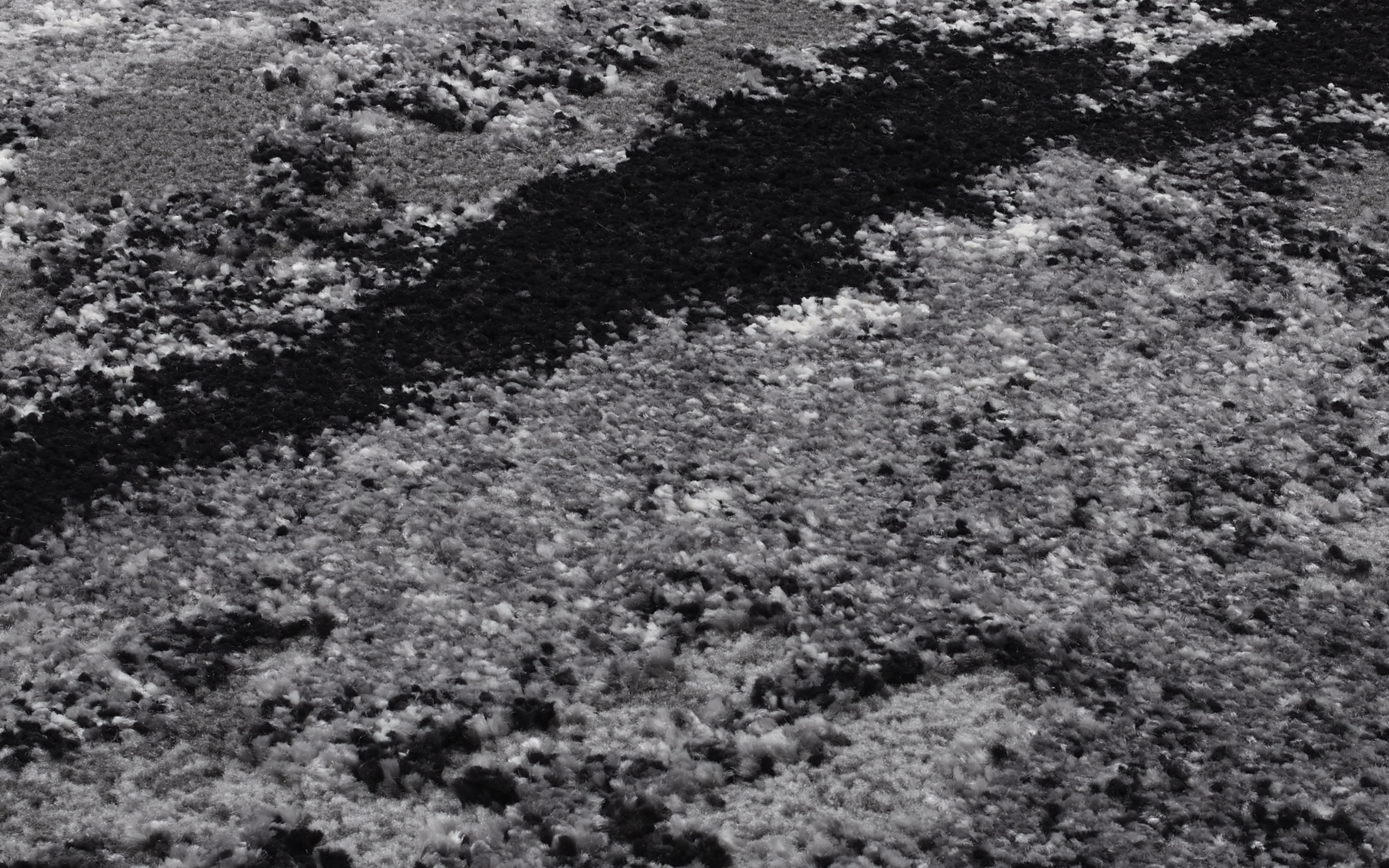 Teppich Starlight Echo, grau, 160 x 230 cm