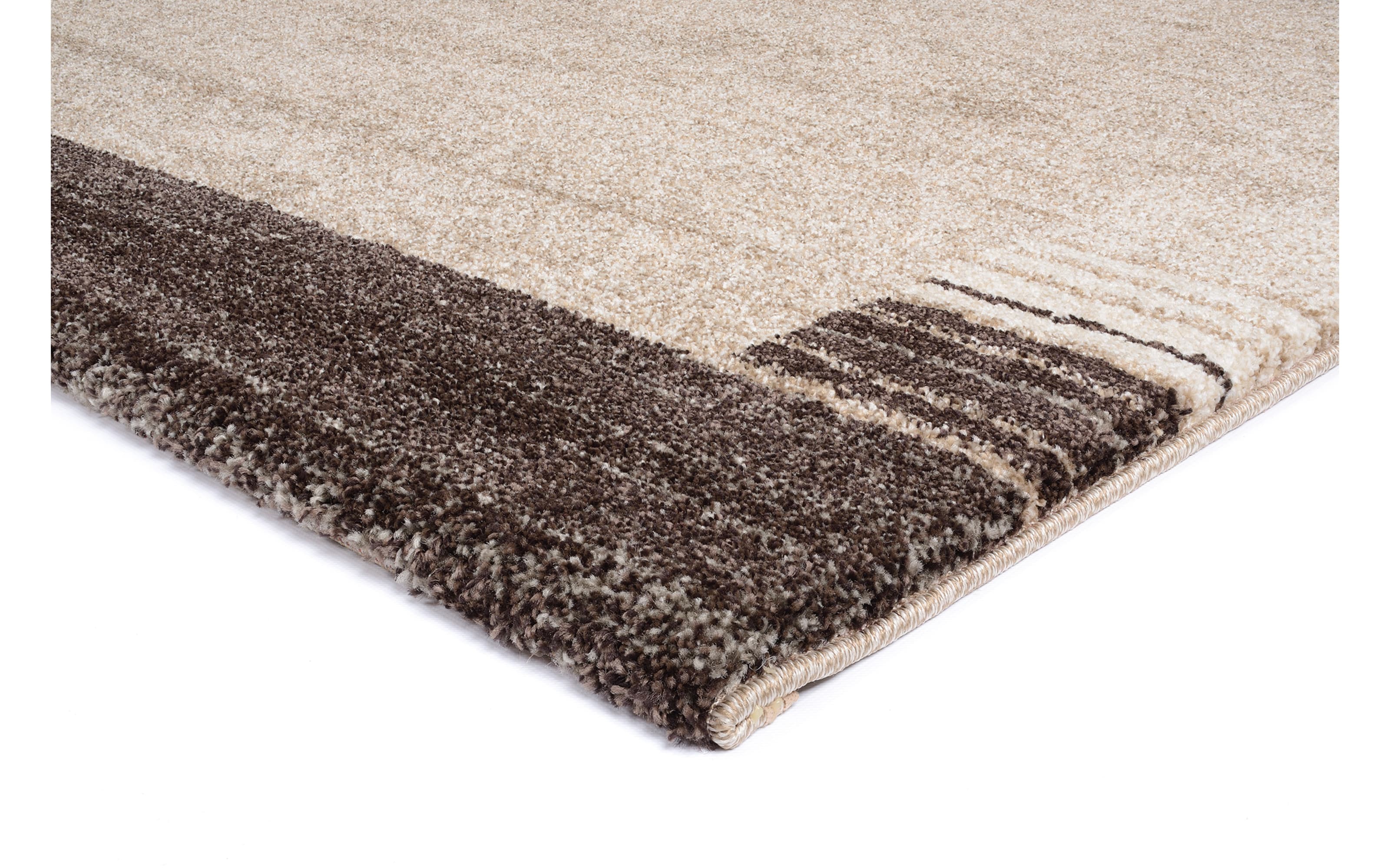 Teppich Ballance Kantium, beige/braun, 160 x 230 cm 