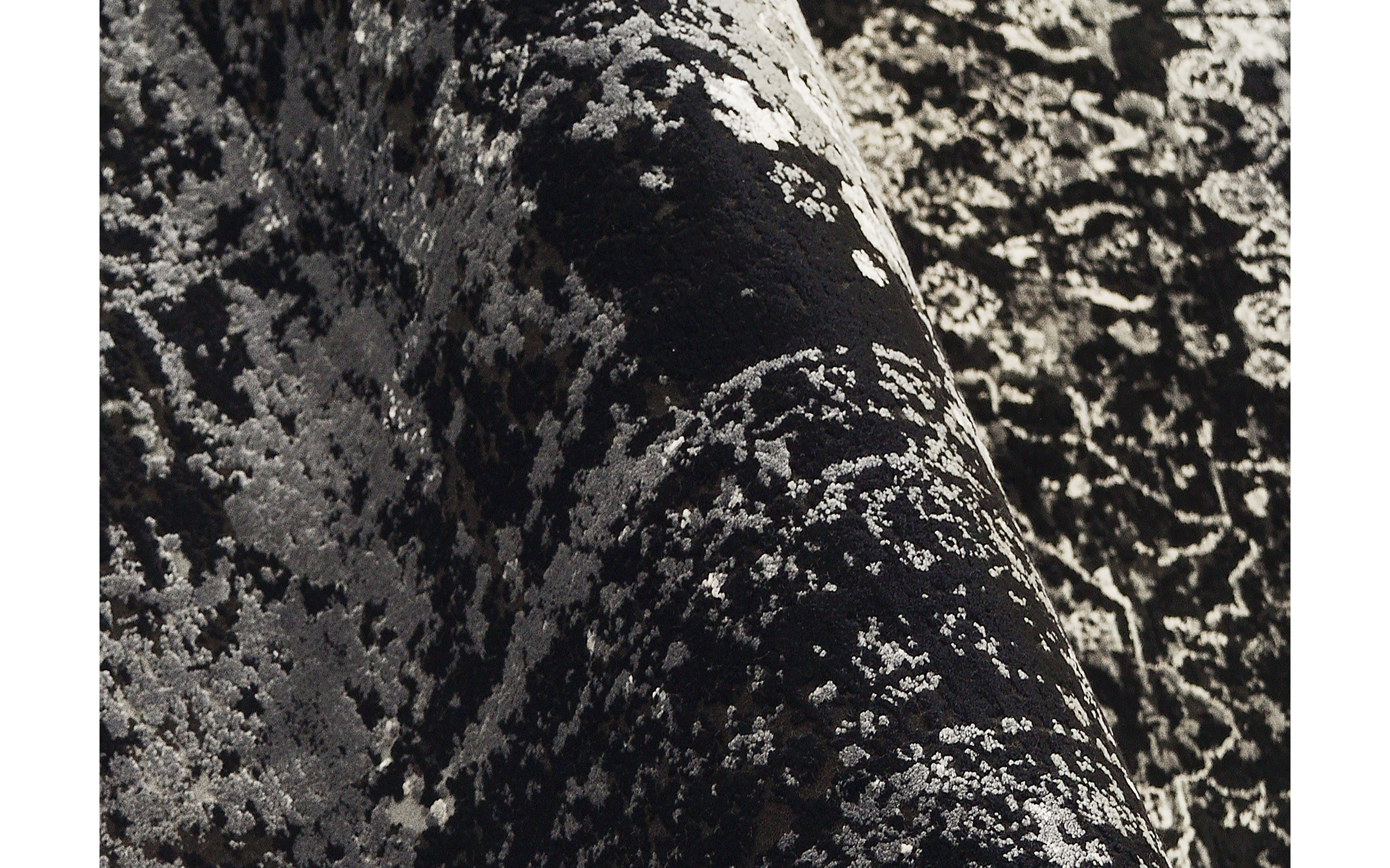 Teppich Glorious Vita,  schwarz/grau, 160 x 230 cm