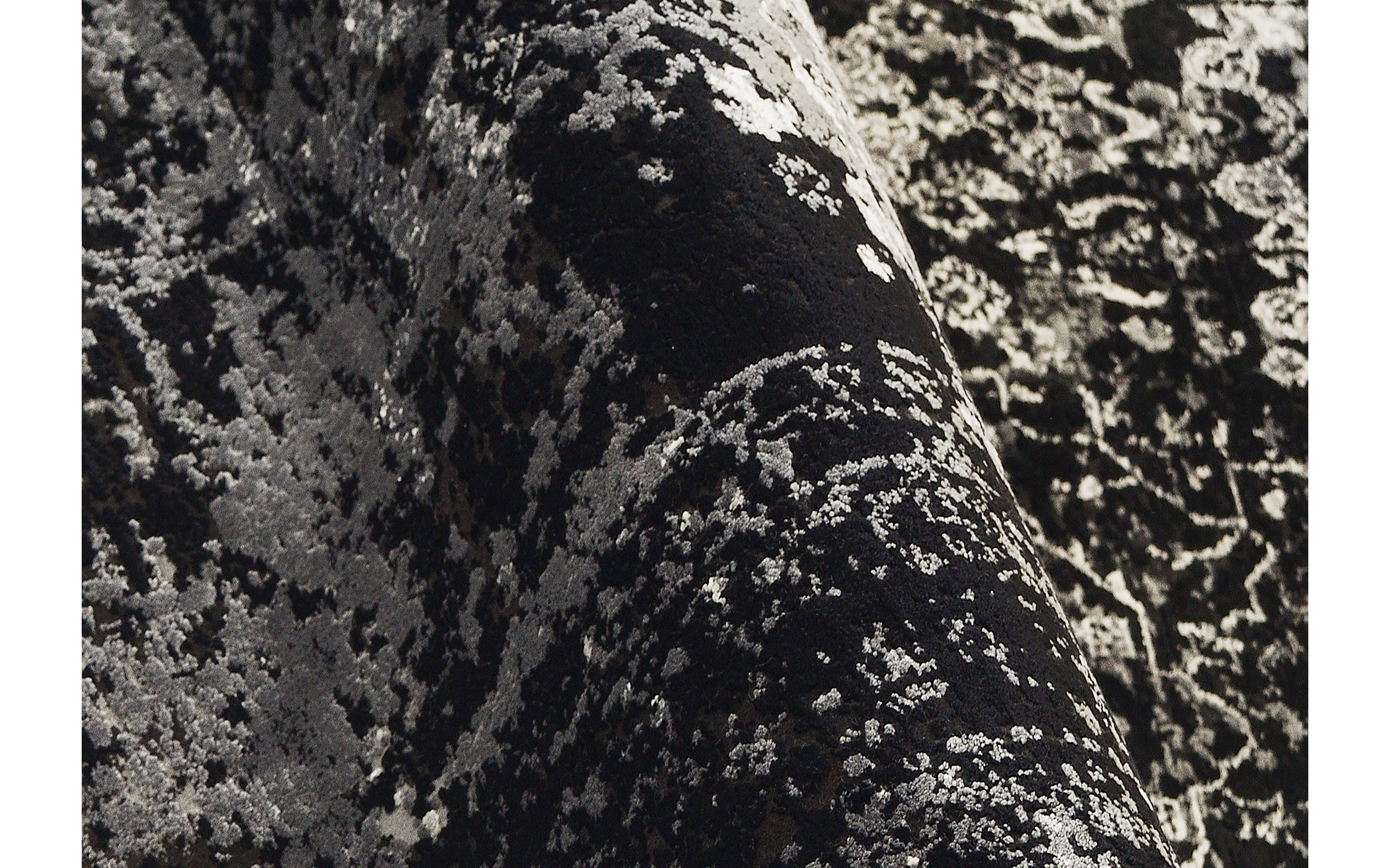 Teppich Glorious Vita,  schwarz/grau, 140 x 200 cm