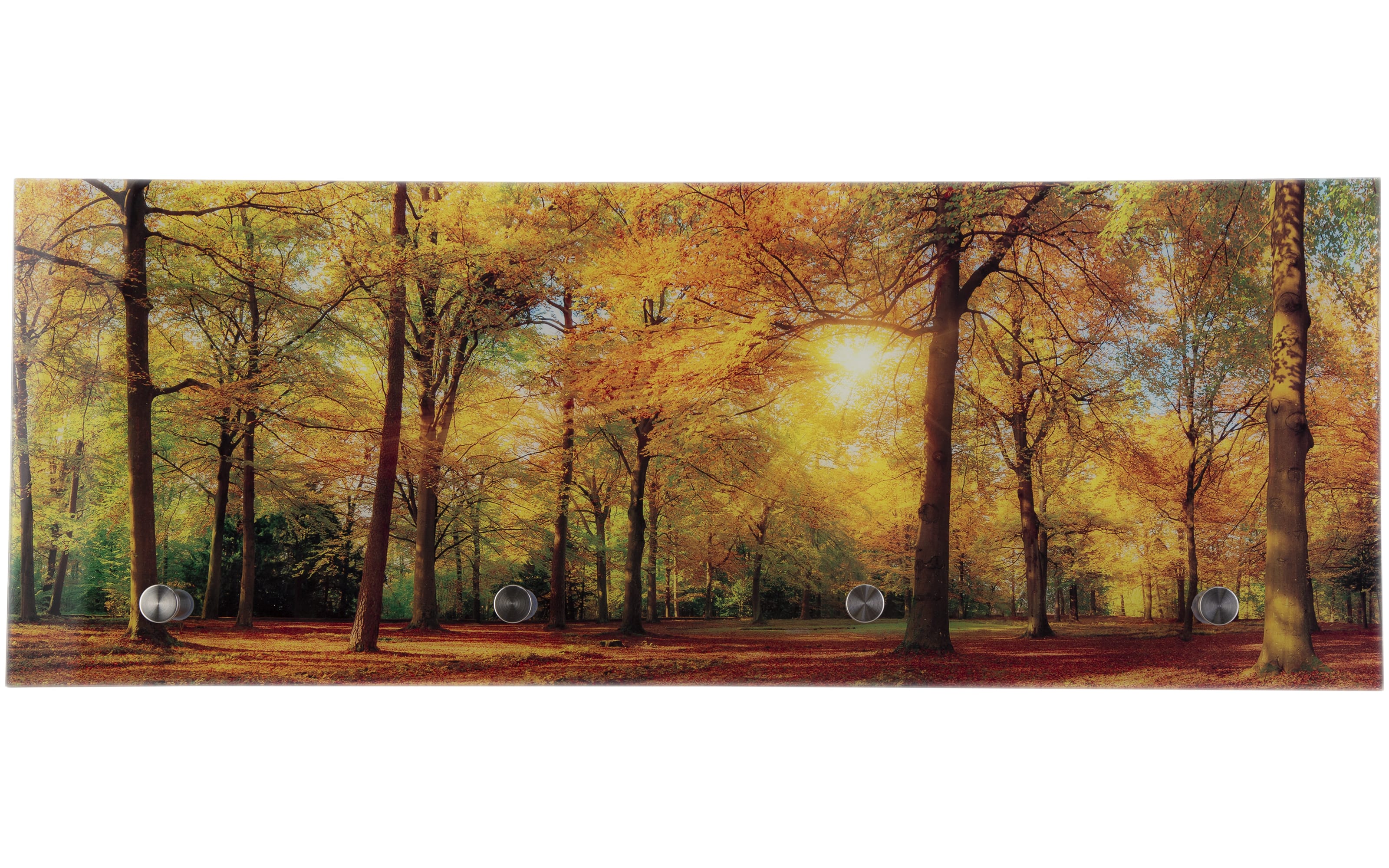 Glasgarderobe Tobi mit Wald-Motiv, 80 x 30 cm