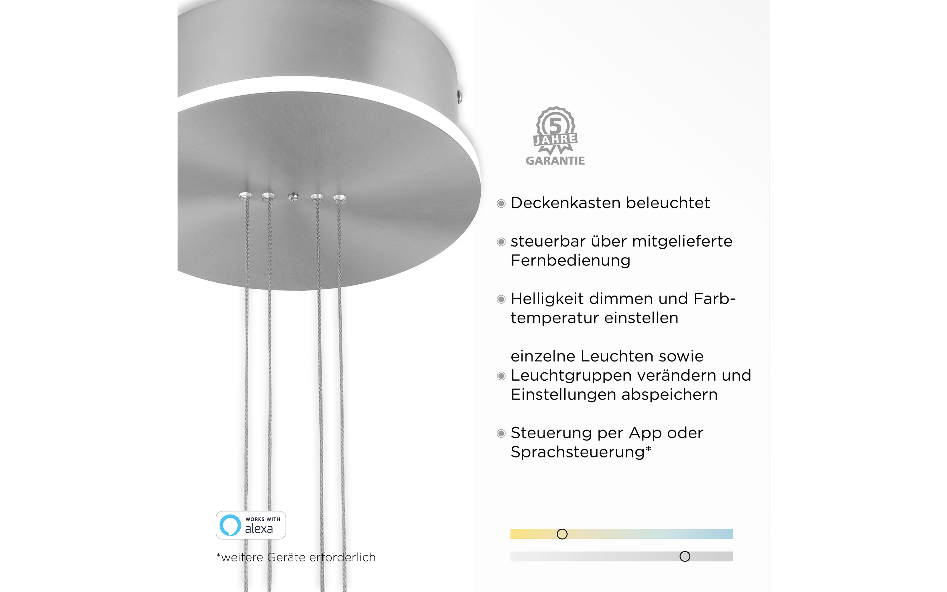 LED-Pendelleuchte CCT Q-Etienne in stahlfarbig, 1-flammig