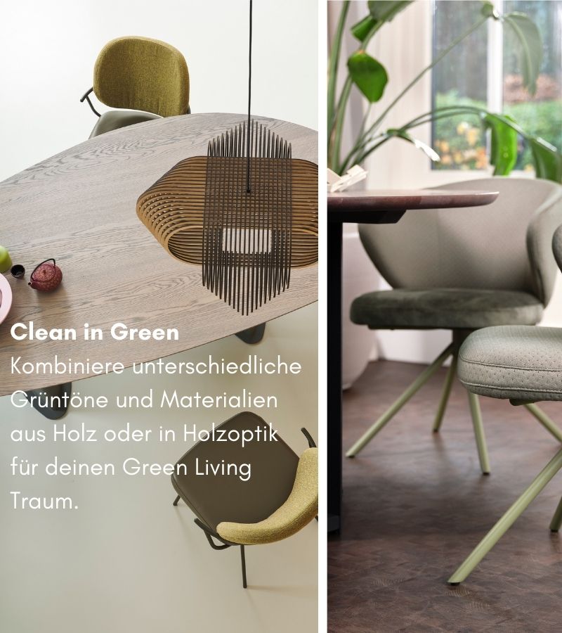 Clean in Green - Einrichtungsstil Green Living