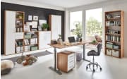Schrank Pronto, Artisan Oak Nachbildung/weiß matt, 2 Türen