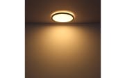 LED-Deckenleuchte Sapana IP44 in schwarz, 29,4 cm