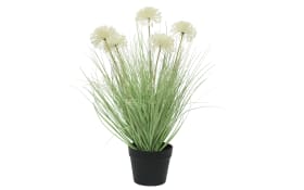 Gras in Topf aus Kunststoff in grün/weiß, 37 cm
