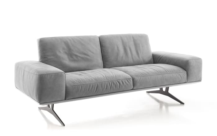 Leder Sofa 2,5-Sitzer, grau-01