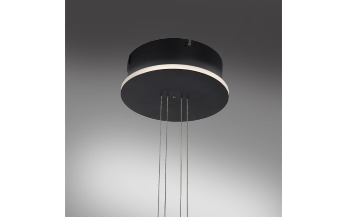 LED-Pendelleuchte CCT Q-Etienne, schwarz, 1-flammig, 35 cm-05