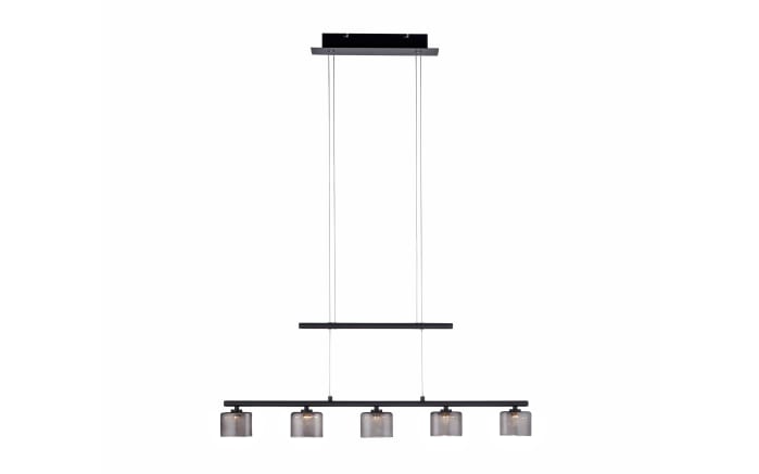 LED-Pendelleuchte Hydra, schwarz, 5-flammig, 80 cm-01