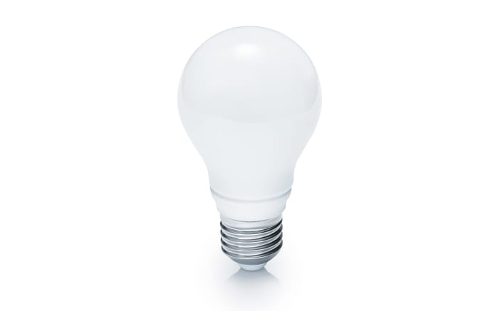 LED-Leuchtmittel AGL 9W/E27
