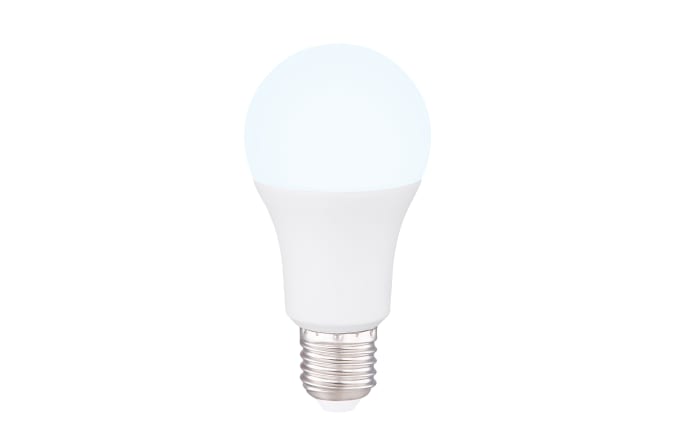 LED AGL Smart Light Tuya 10 W / E27-01