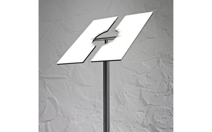 LED-Standleuchte Luca in anthrazit, 177,5 cm-05