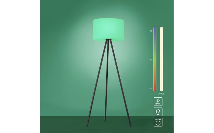 LED-Akku-Standleuchte Holly RGB IP44 in schwarz/weiß, 135 cm-07